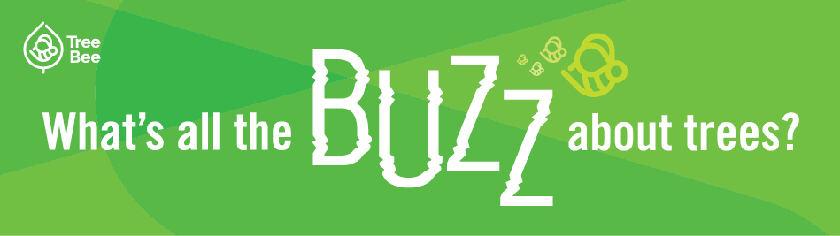 green background with words saying What's All The Buzz About Trees?